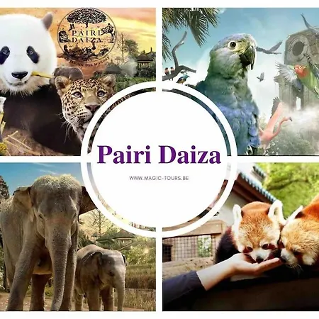 Robert 20 Brussels-charleroi-airport シャルルロワ